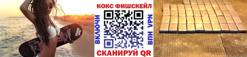 Кокаин Fish Scale  Купить закладки  Костомукша 