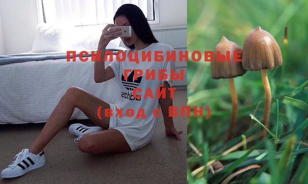 прущие крисы Богданович