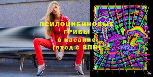 сатива Богородск
