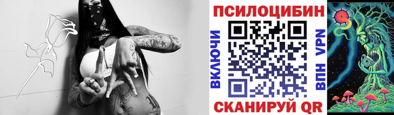 Купить где  Костомукша  Псилоцибиновые грибы мицелий 